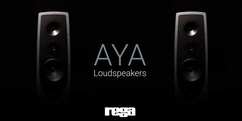 Aya_full width (1).jpg